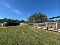Chácara Rural com benfeitorias em leilão judicial