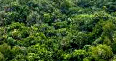 Terreno Rural em Criciúma - Grande Oportunidade!