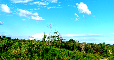 Terreno em Mocajuba - PA