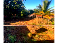 Terreno em Palminópolis com 446,15m²