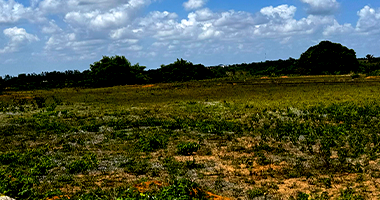 Terreno em Alhandra - PB com 473,16m²