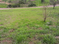 Terreno em Cambuí MG com 828m² -