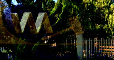 Terreno Urbano com Casa em Araucária - 800m²