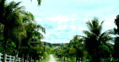 Fazenda Rural com 4 Quartos, 3 Banheiros, Piscina e Garagem