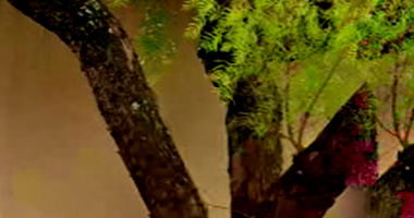 Casa em Alvenaria com 296,63m² no Conj. Res. Santa Rita IV