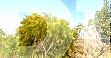 Terreno em São Carlos/SP com 138m²