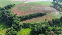 Imóvel Rural 20.000m² - Solo Tipo 3 - Nova Prata do Iguaçu/PR