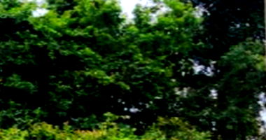 Terreno Rural 3,07 alq em Castro/PR