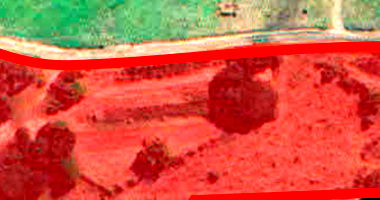 Chácara com 7 Hectares em Alvinlândia/SP