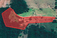 Chácara com 7 Hectares em Alvinlândia/SP