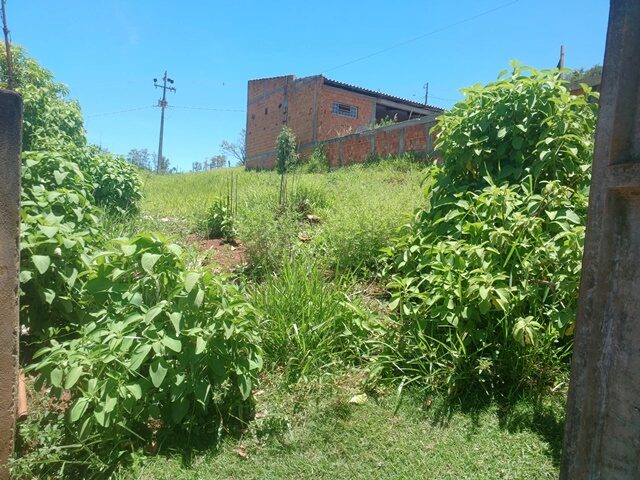 Terreno de 200m² em Jardim Nova Esperança, Londrina