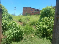 Terreno de 200m² em Jardim Nova Esperança, Londrina