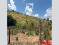 Gleba de terras com 720,35 ha em Paulo Ramos - MA