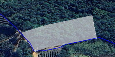 Sorte de Terras de 1 Hectare na Fazenda Mandassia em Ouro Fino/MG