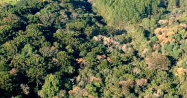 Área Rural de 20.000m² em Paulo Bento/RS