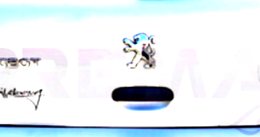 PEUGEOT 307 SOLEIL 16M - Placa DGG4953