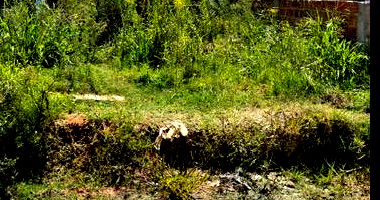 Terreno em Pelotas/RS com 125m²