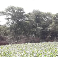 Lote rural com 58.625 m² em Crissiumal/RS