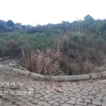 Imóvel Urbano de 234,35 m² em General Carneiro - PR