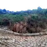 Imóvel Urbano de 234,35 m² em General Carneiro - PR