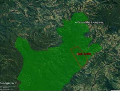 Área Rural de 774,40 hectares em Adrianópolis/PR - Desocupada