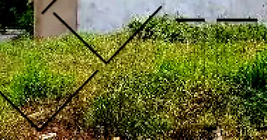 Terreno em Barretos com 229,75m²