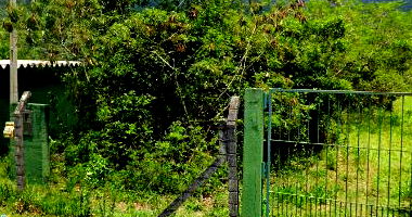 Terreno amplo com 147.071 m² em Pântano do Sul, Florianópolis