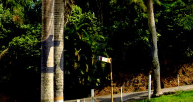 Imóvel Rural com 137,62 hectares e 3 casas