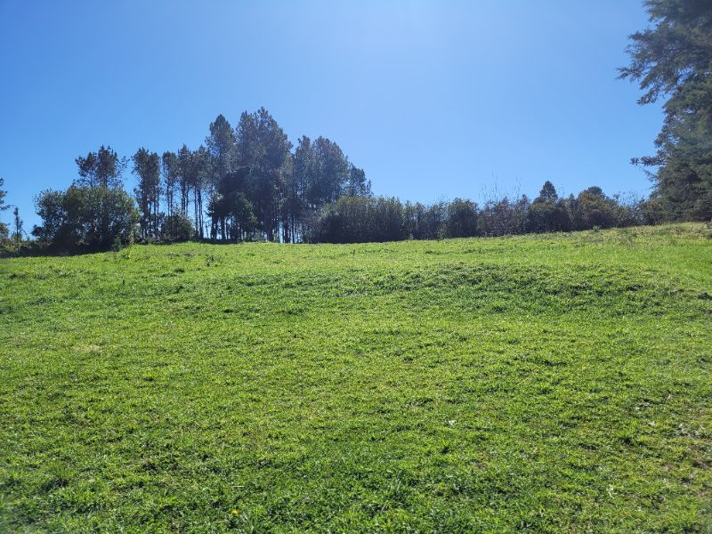 Terreno urbano 858m² sem benfeitorias, São Joaquim SC