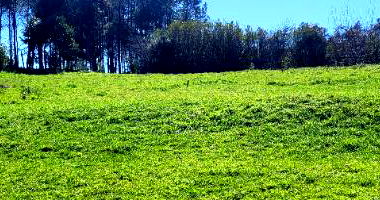 Terreno urbano 858m² sem benfeitorias, São Joaquim SC