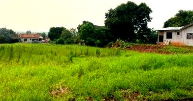 Terreno Desocupado com 400m² no Centro de Tupãssi/PR