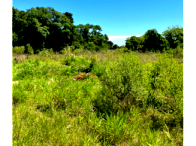 Chácara de 1.334m² Próximo à BR-386