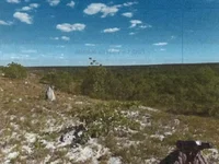 Fazenda com 210,50 ha em São Romão/MG