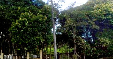 Área de terreno rural com casa rústica em São José dos Pinhais