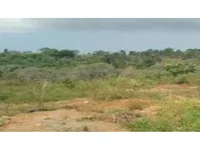 Área Rural em Camaçari com 20.400m² em Leilão