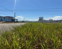 Terreno urbano de 368,75 m² em loteamento plano e pavimentado