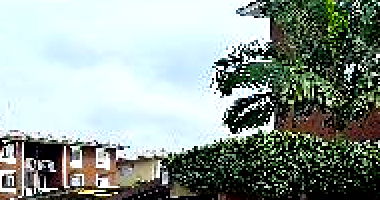 Apartamento 2 quartos, 1 banheiro, 41,15m² privativos, desocupado