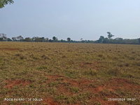 Fazenda com 1.305,3359ha em Dois Irmãos do Buriti/MS
