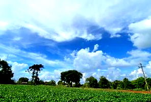 Terreno Urbano de 800m² em Toledo/PR