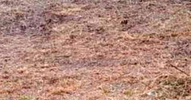 Terreno com 513,50m² em São Carlos/SP