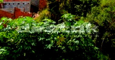 Terreno em Mogi das Cruzes/SP - 324m² Pronto para Construir