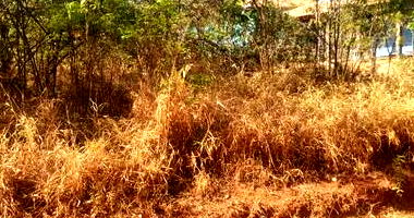 Lote de Terreno em Condomínio com 943,34 m²