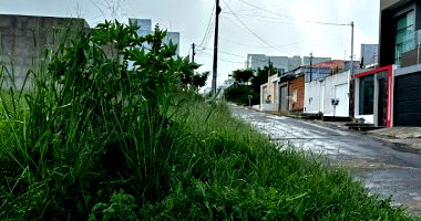 Lote de Terreno com 303,75m², 12,15m de frente, desocupado