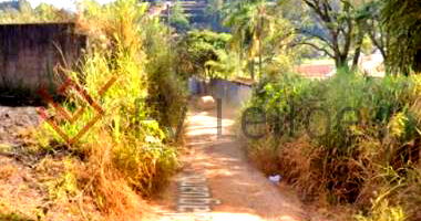 Espaçoso Terreno de 2.892 m² em Área Verde e Desocupado