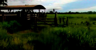 Imóvel Rural com 473,128 Hectares