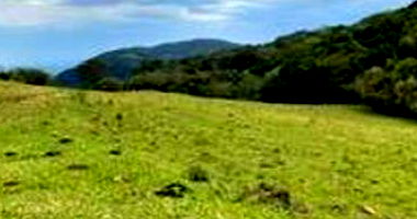 Imóvel Rural com Área de 2,85 ha em Silveira Martins-RS