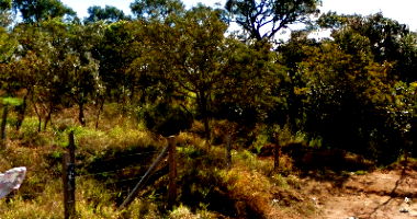 Gleba de 8.440,55m² em Botucatu-SP