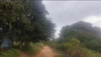 Imóvel Rural com 35,13 Hectares em Tianguá/CE - Oportunidade de Investimento