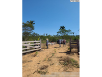 Fazenda Rural com 243,25 Hectares em Candeias do Jamari/RO