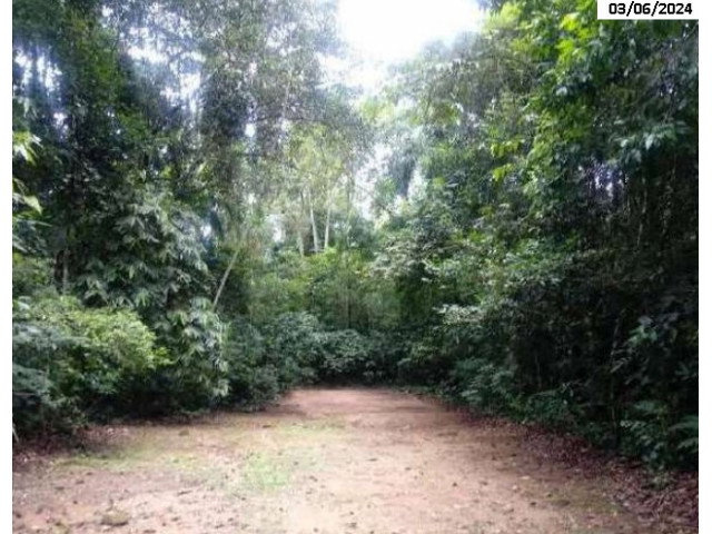 Terreno em Caraguatatuba/SP com 1.466,01m² em Área de Preservação
